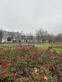 🌿👑 Schlossgarten Stuttgart: A Royal Oasis in the Heart of the City 👑🌿  