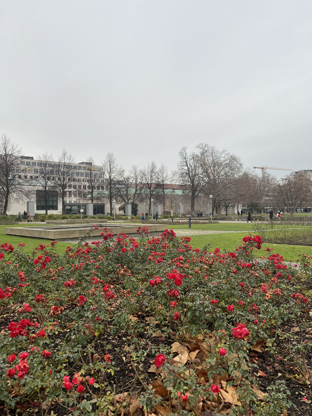 🌿👑 Schlossgarten Stuttgart: A Royal Oasis in the Heart of the City 👑🌿  