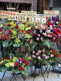 Dreaming of Japan? I show you the iconic Tokyo landscape 