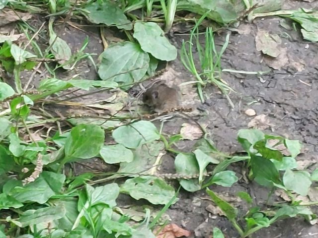 Train to Reading, Thames Path Day 9 Train to Reading, Thames Path Day 9