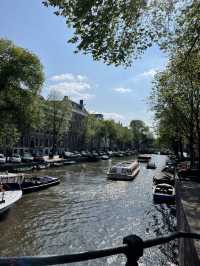 🚲 Amsterdam: Canals & City Vibes