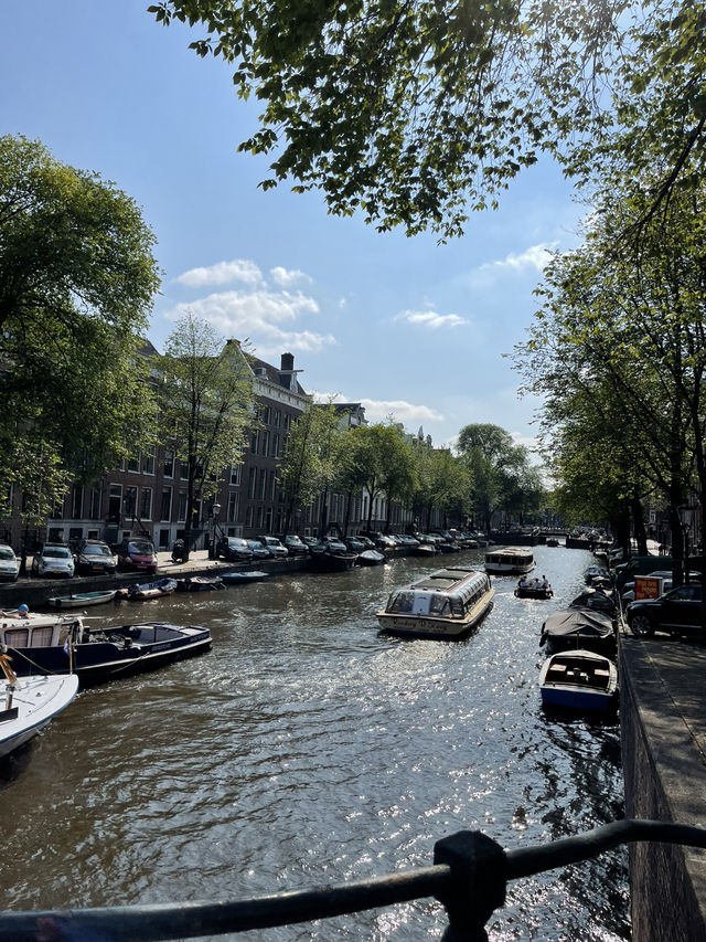 🚲 Amsterdam: Canals & City Vibes