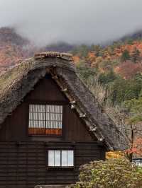 Nagoya to Takayama & Shirakawa-go 🏯🌿Day dream trip