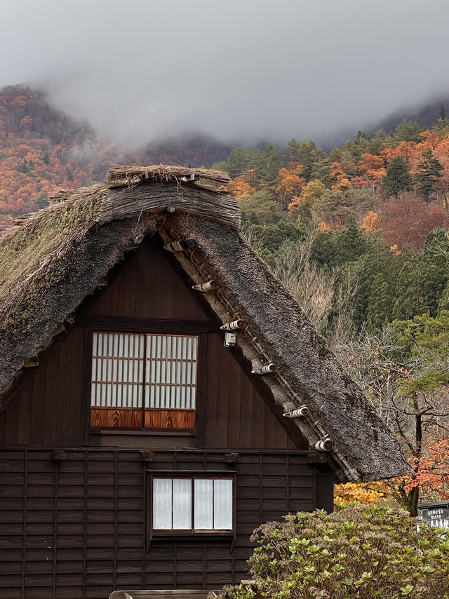 Nagoya to Takayama & Shirakawa-go 🏯🌿Day dream trip