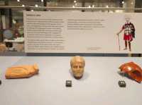 Exeter’s Royal Albert Memorial Museum – A Free Gem to Explore