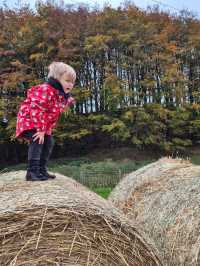 Stouslie Farm Pumpkin Patch, Hawick – A Scenic, Family-Friendly Autumn Adventure