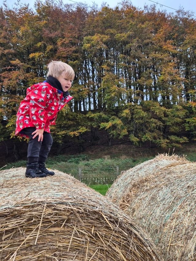 Stouslie Farm Pumpkin Patch, Hawick – A Scenic, Family-Friendly Autumn Adventure