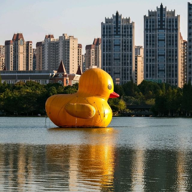 Quirky Lakeside Fun – The Giant Duck of Ganzhou 🦆🌟 Quirky Lakeside Fun – The Giant Duck of Ganzhou 🦆🌟