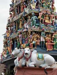 Free Singapore Stopover Program✨