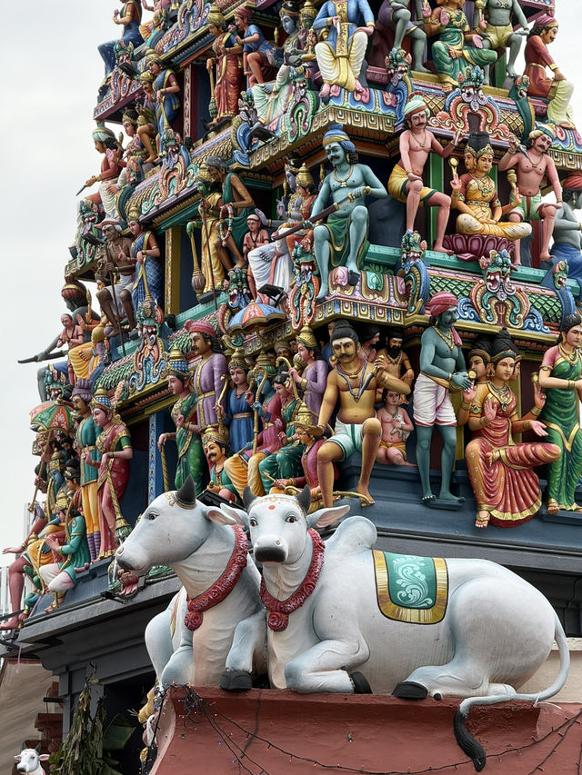 Free Singapore Stopover Program✨