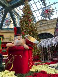 Bellagio’s Wonderland Blooms in Vegas Magic ✨