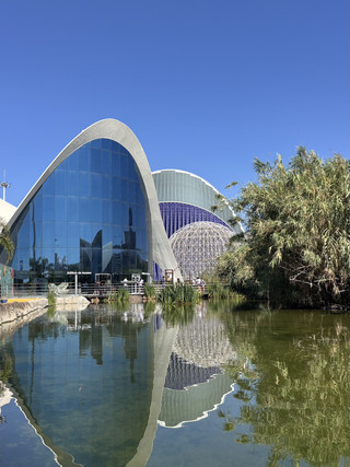 📸 Souvenir Guide: The Oceanogràfic – Your Photos Are the Real Treasure 🐠