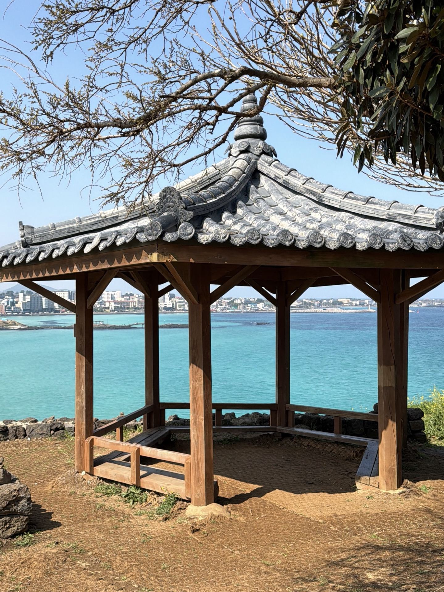 Is it worth visiting Jeju Island if you only have 10 days in South Korea? 🇰🇷