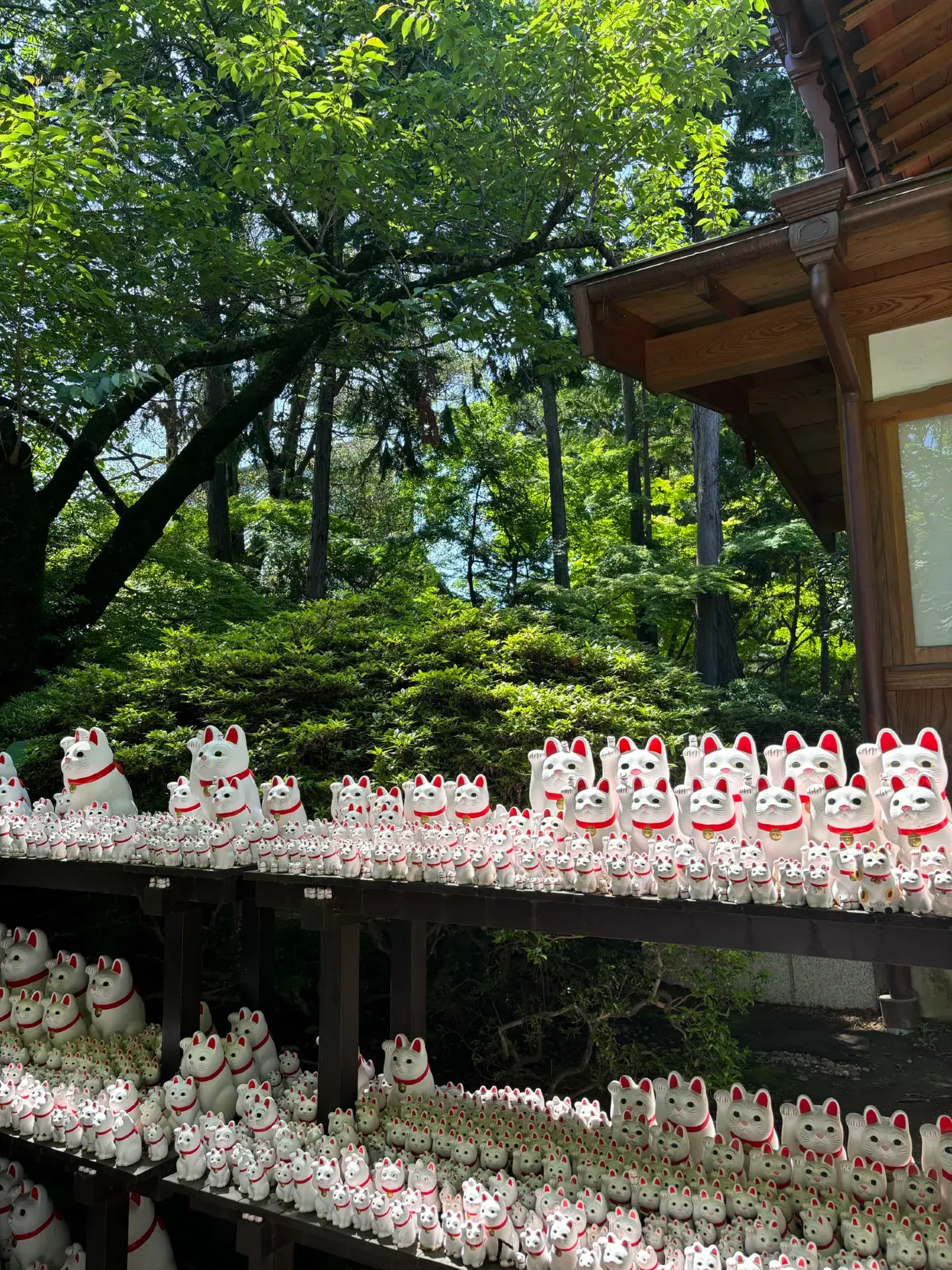 🇯🇵 Itinerary for your first trip to Japan