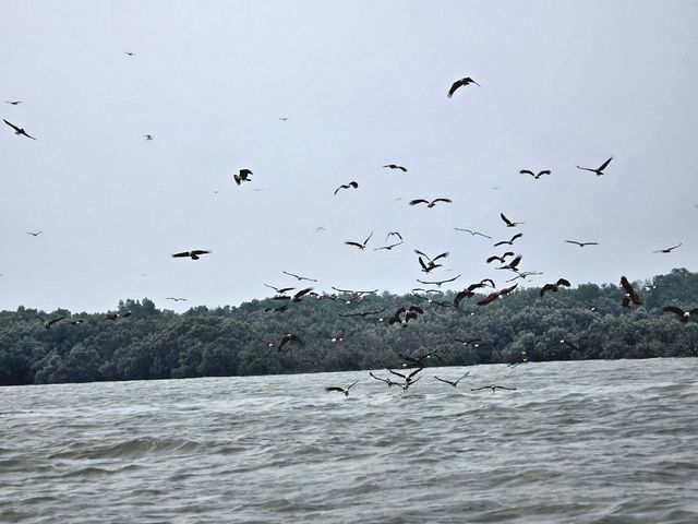 Fireflies & Blue Tears Night Tour: A Memorable Seafood Experience