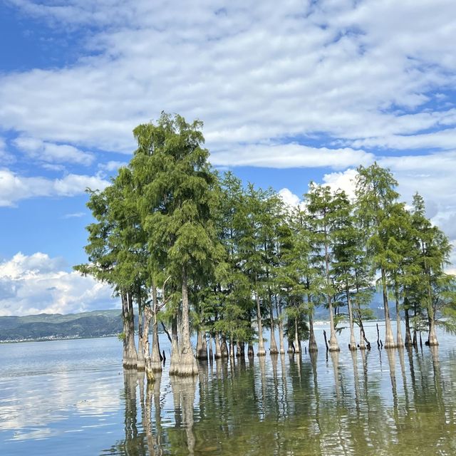 Erhai lake 