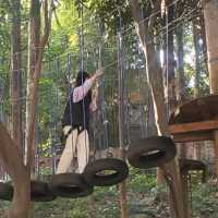 Must-See Dream Castle: Huasheng Yuan 