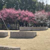 【昆山】上海地下鉄越境してますが？日当たり最高！未来城