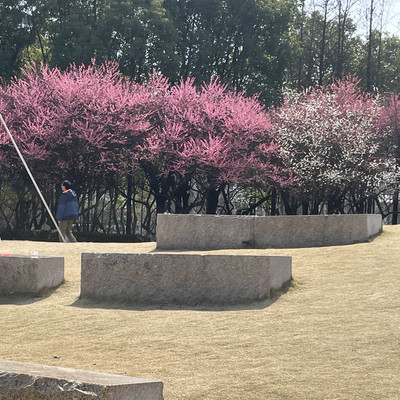 昆山】上海地下鉄越境してますが？日当たり最高！未来城 | Trip