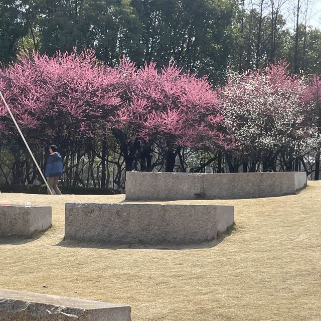 【昆山】上海地下鉄越境してますが？日当たり最高！未来城