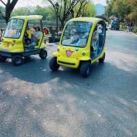 👪 BEST FAMILY FRIENDLY ZOO IN HANGZHOU ‼️