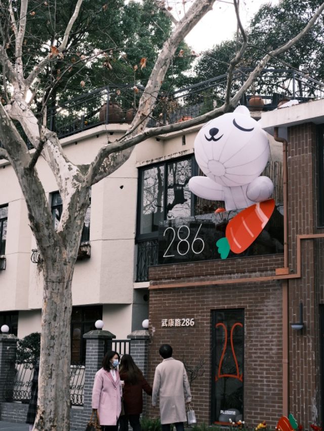 Wukang road in spring