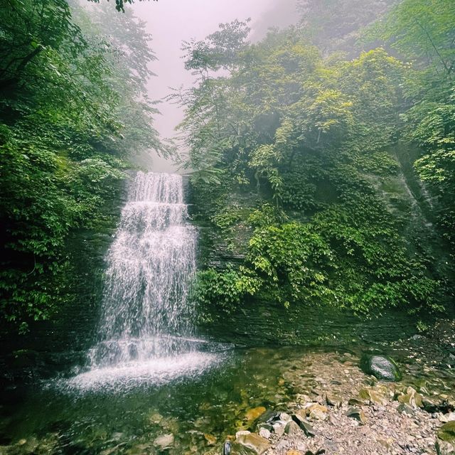 Emeishan Hiking Paradise