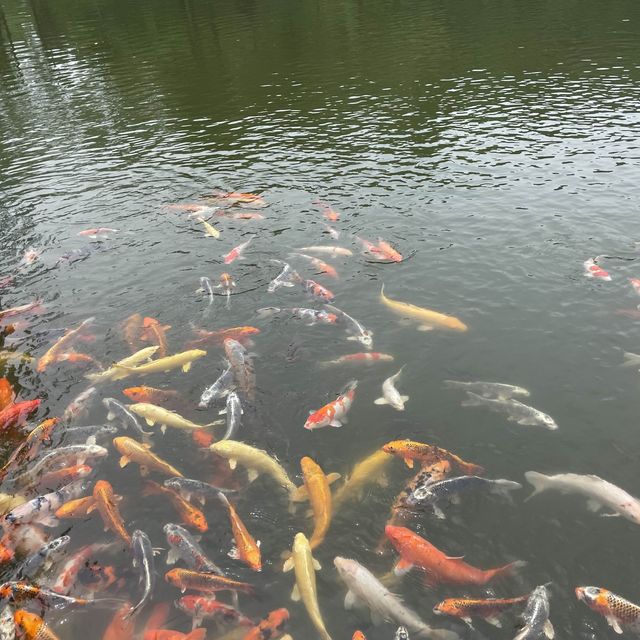 Ginkgo Water Park 