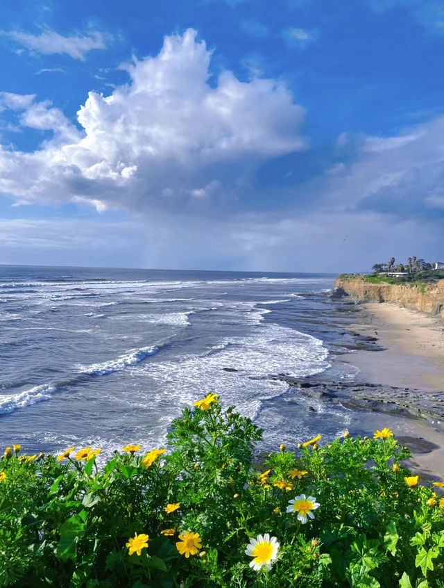 Hiking route, walking along the cliff flower sea may bring you peace...