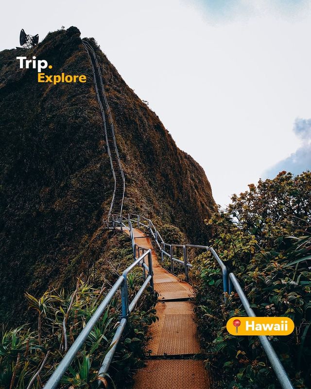 Explore Haiku Stairs with us