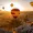WhisperingWanderer