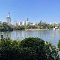  A stunning park in the heart of Shenzhen