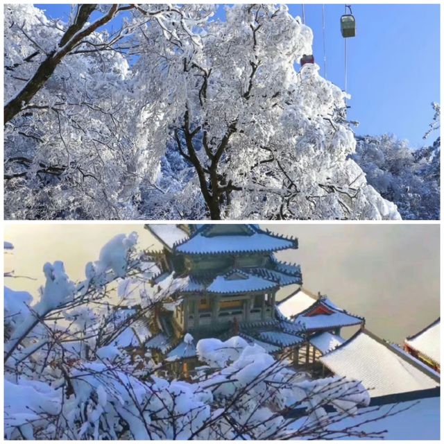 這個冬天一定要去一趟河南洛陽老君山