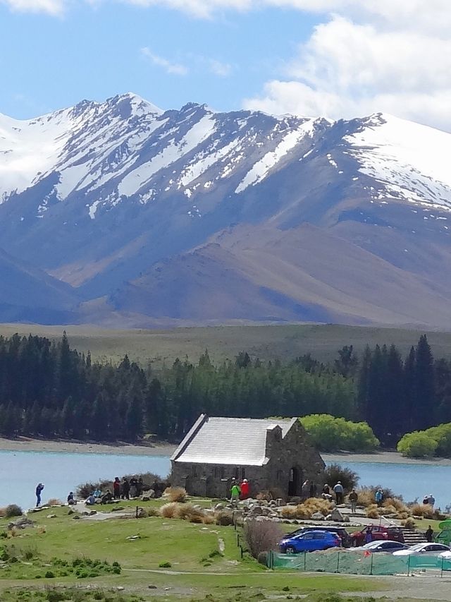 新西蘭南島：特卡波湖/好牧羊人教堂