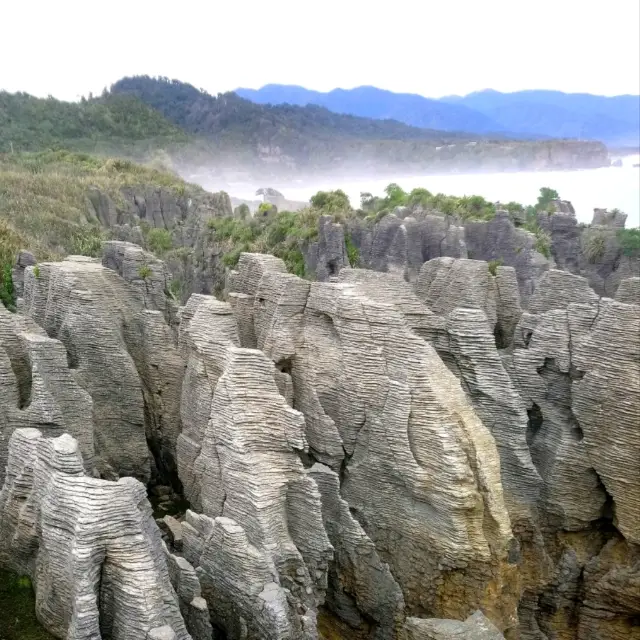 The Pancake Rocks For Breakfast | New Zealand 
