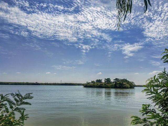 走遍寧夏之鳴翠濕地（銀川—鳴翠湖）