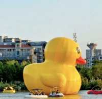 福州一座新晉公園，不僅擁有九大遊玩主題，還是遛娃拍照的好地方