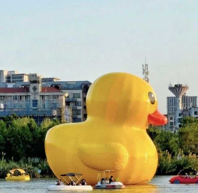 福州一座新晉公園，不僅擁有九大遊玩主題，還是遛娃拍照的好地方