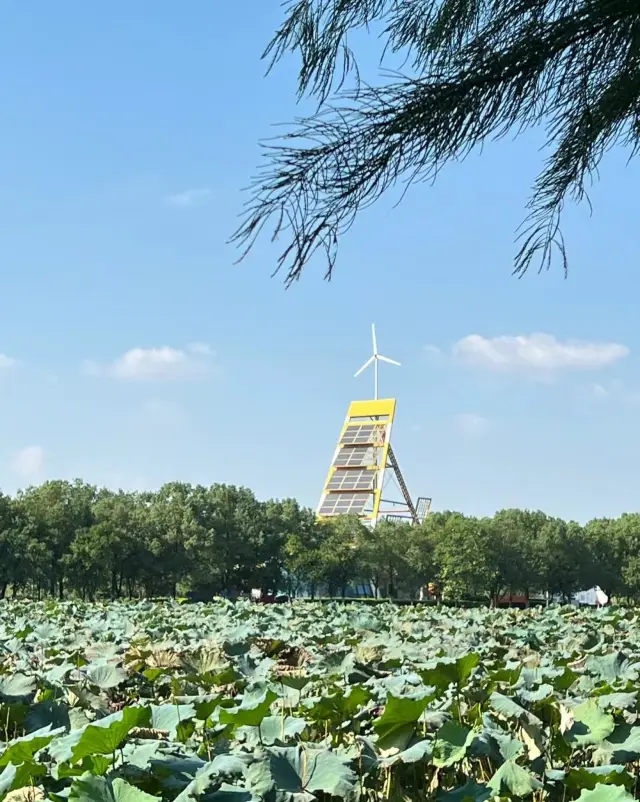 帶一家人去艾溪湖簡直不要太解壓