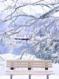 翘班只為去看雪中的廬山，這個雪中童話世界