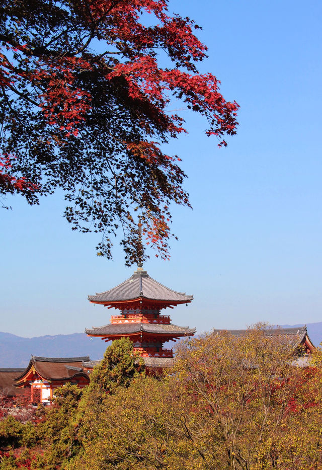 紅葉季必湊熱鬧的清水寺和南禪寺