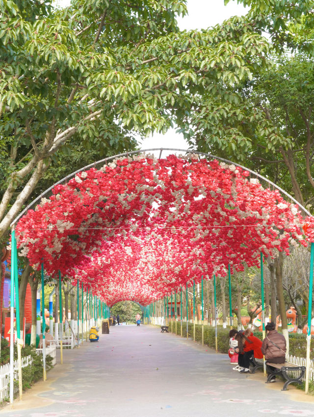 綿陽近郊寶藏公園 |親子徒步、露營拍照好去處