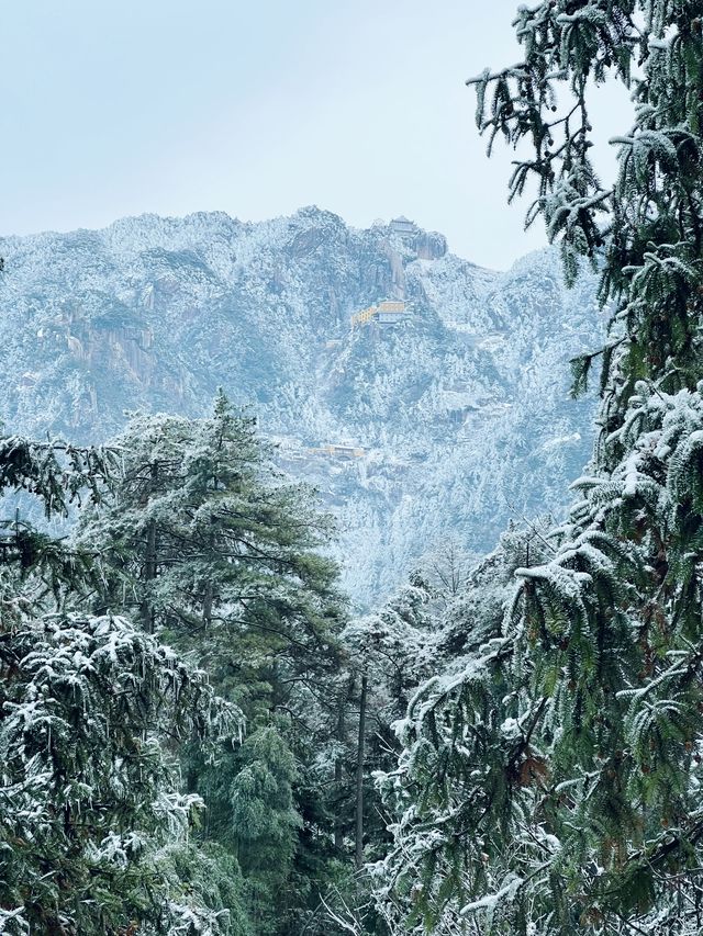 九華山下雪了