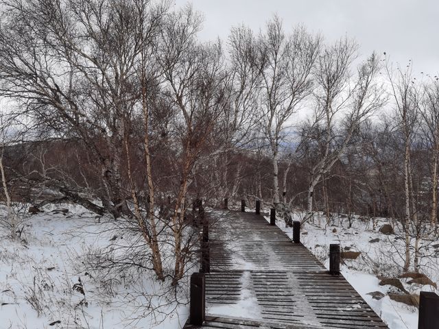 內蒙古黃崗梁，初冬最美的自駕遊目的地