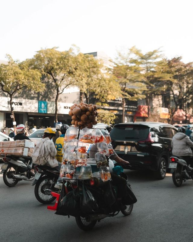 Enchanting Hanoi: A Cultural Odyssey in the Heart of Vietnam