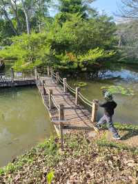 西雙版納中科院植物園，告莊出發攻略