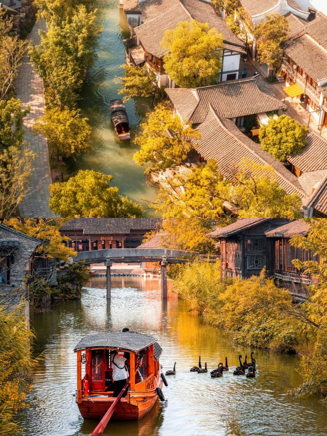 上海一日團建|打卡GQ盛典同款千年古鎮