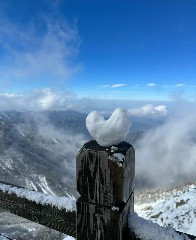 將愛留在太白山實用攻略奉上