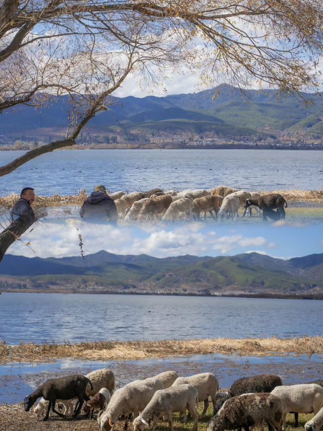 大理這個地方比洱海迷人