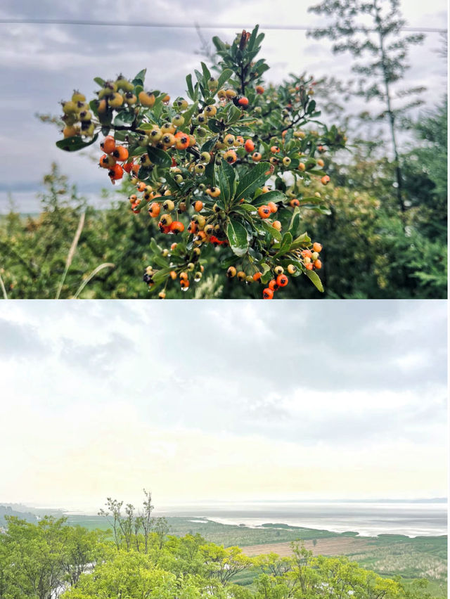 威寧草海2日遊
